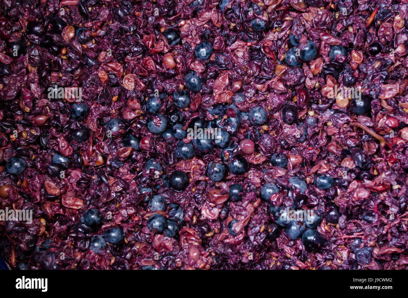 Crushed grapes for wine background Stock Photo Alamy