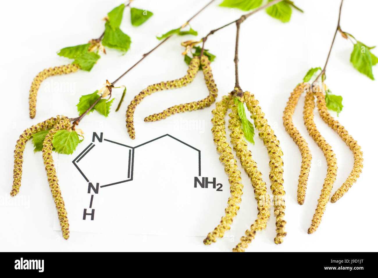 birch, formula, hayfever, chemistry, allergy, histamine, landscape format, Stock Photo