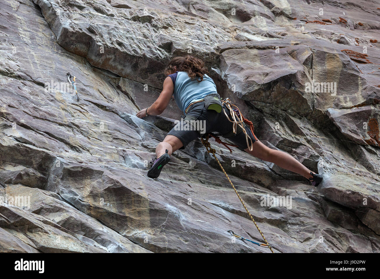 Female mountaineer, climber in a steep face, Banff National Park, Rocky Mountains, Alberta, Canada Stock Photo