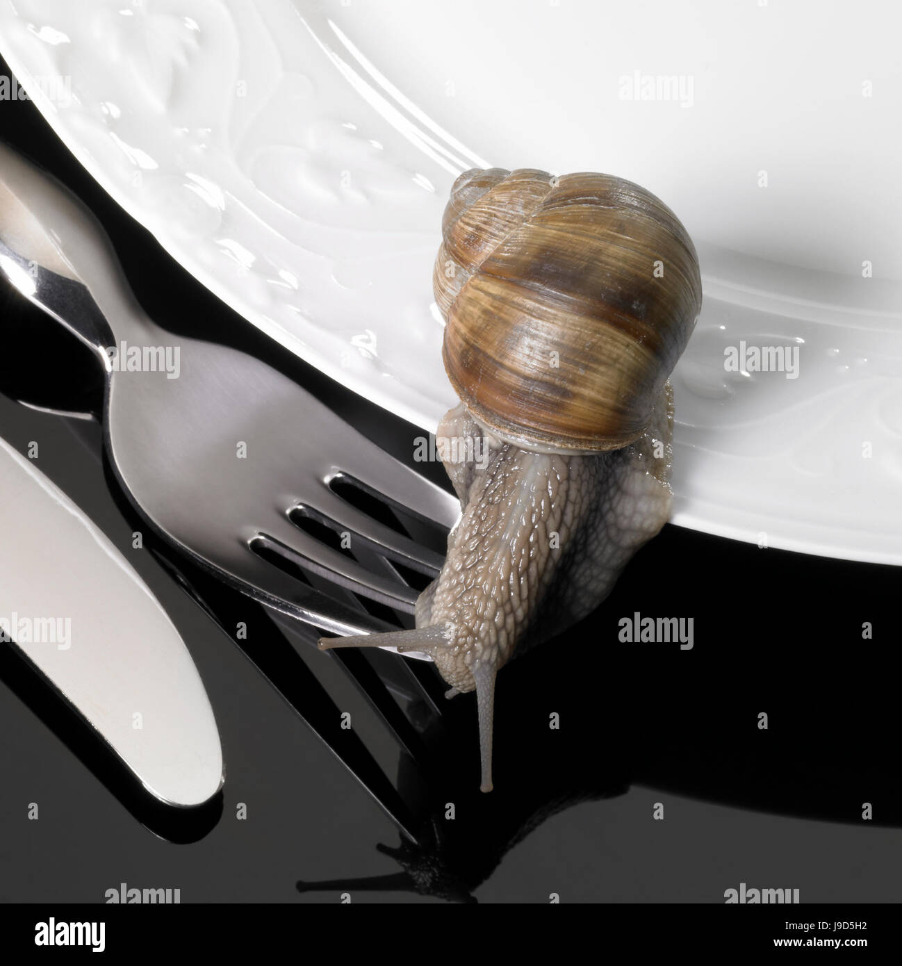 snail, edible snail, fork, cutlery, harness, motion, postponement, moving, Stock Photo