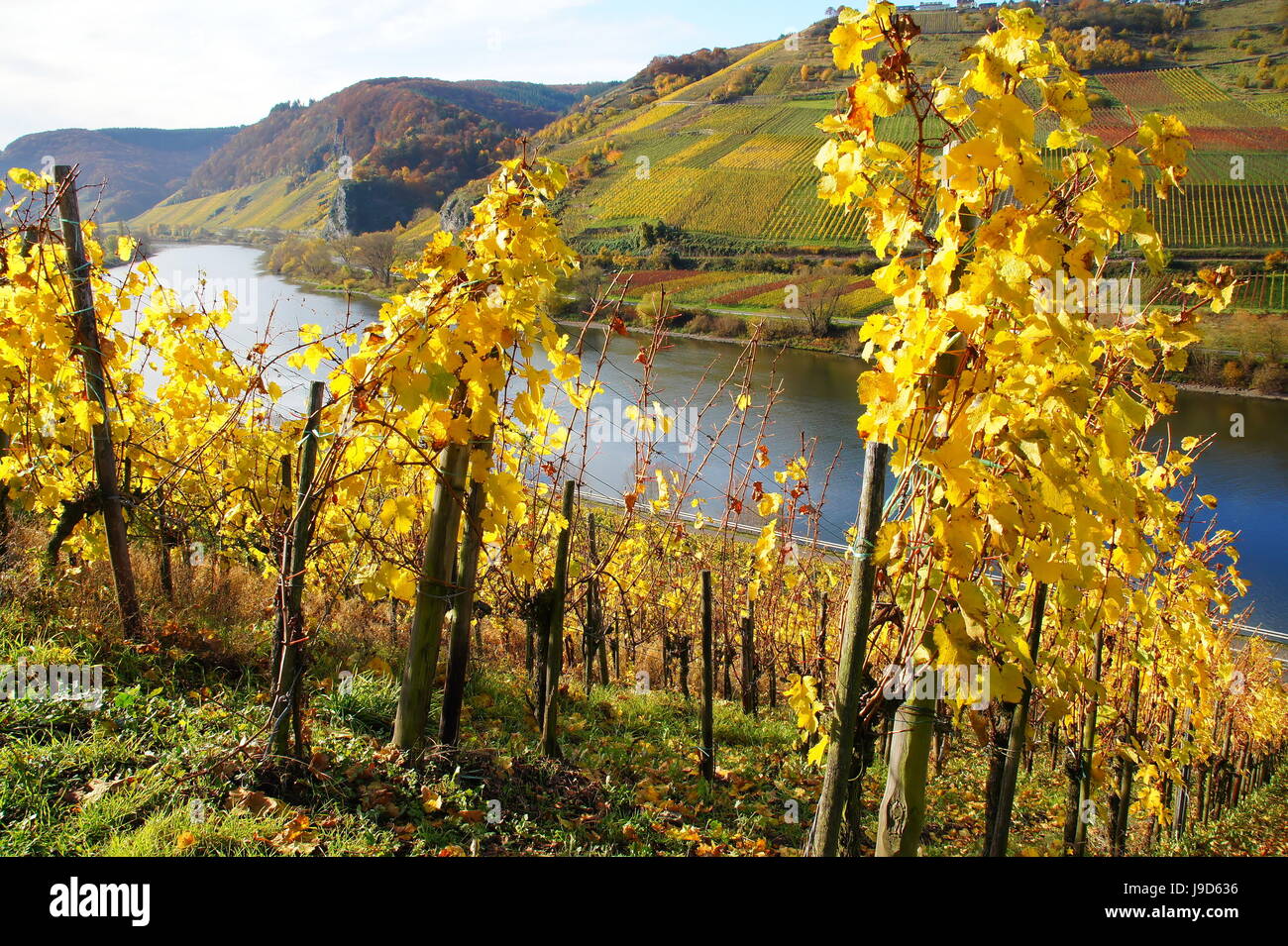mosel valley at castle Stock Photo Alamy