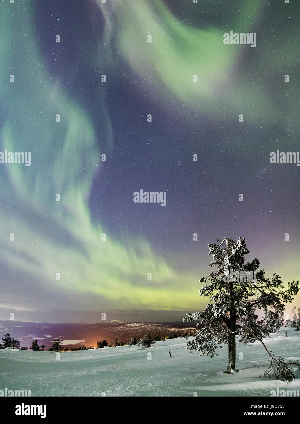 Panorama of snowy woods and frozen trees framed by Northern Lights (Aurora Borealis) and stars, Levi, Sirkka, Kittila, Finland Stock Photo