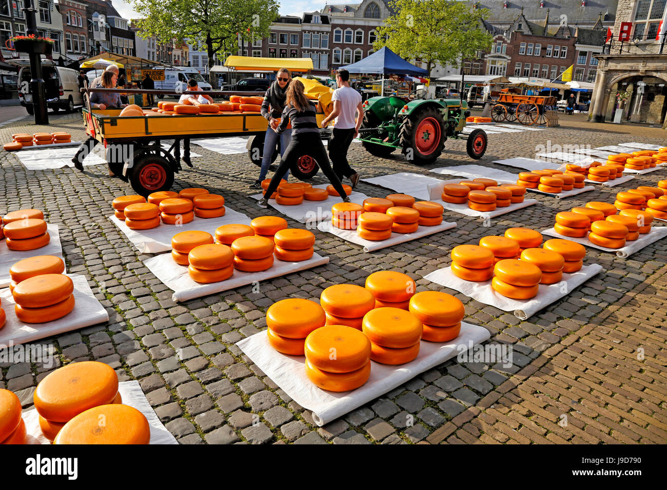 Gouda cheese wheel hires stock photography and images Alamy