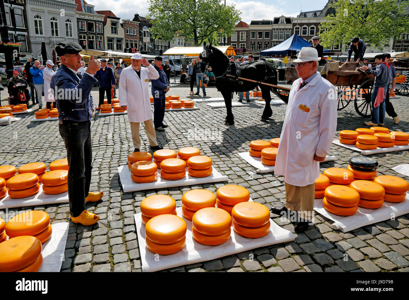 Gouda cheese wheel hires stock photography and images Alamy