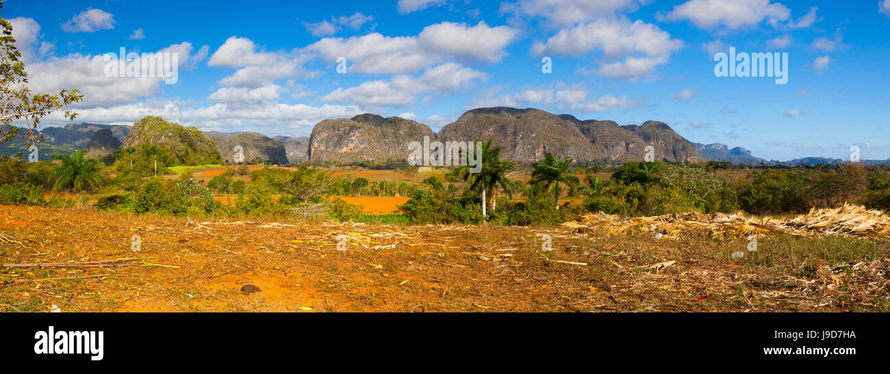 Famous Cuba farmland tobacco area, Valley de Vinales, Pinar del Rio, Cuba. Stock Photo