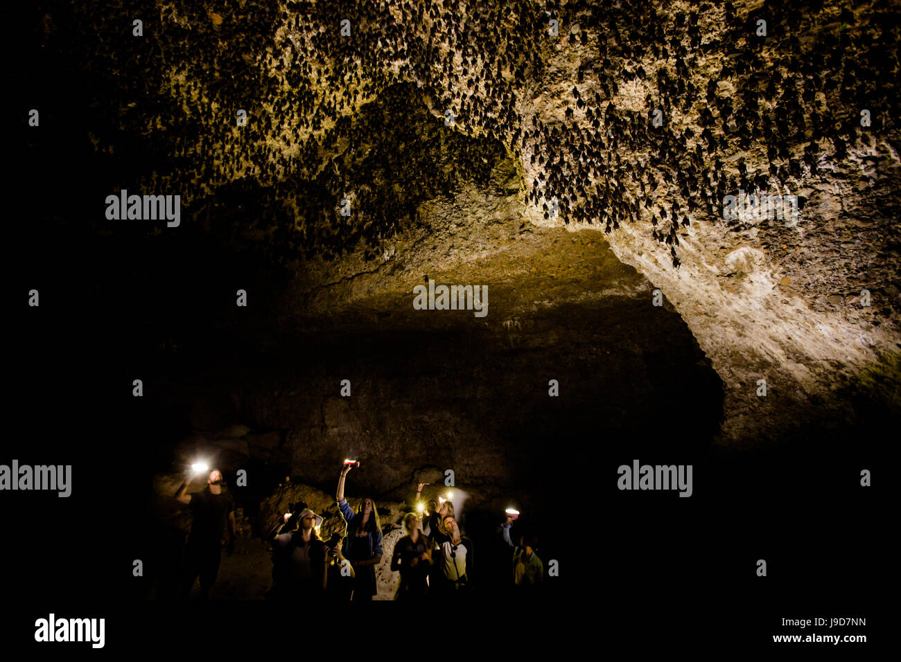 Cavers shining lamps on bats in pokhara bat caves hires stock