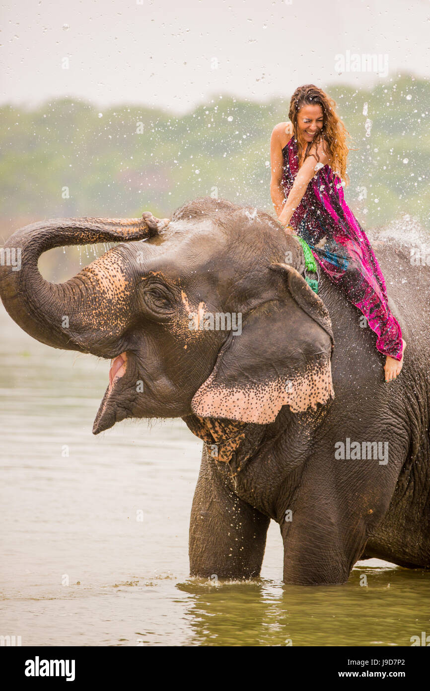 Woman sitting on an elephant getting an elephant shower, Chitwan Elephant Sanctuary, Nepal, Asia Stock Photo