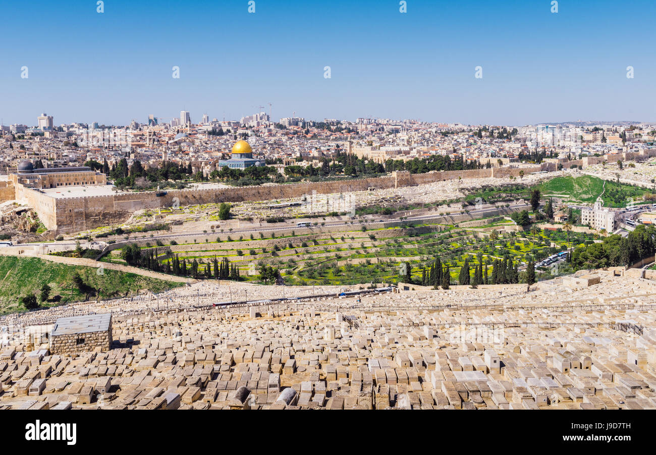view from mount of olives