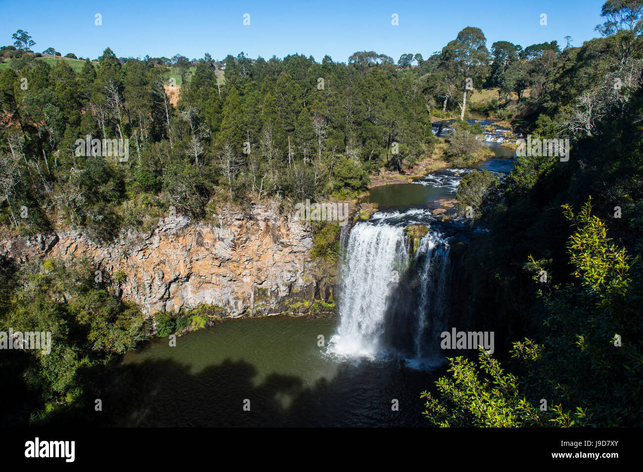Dangar Falls, UNESCO World Heritage Site, Dorrigo National Park, New South Wales, Australia, Pacific Stock Photo