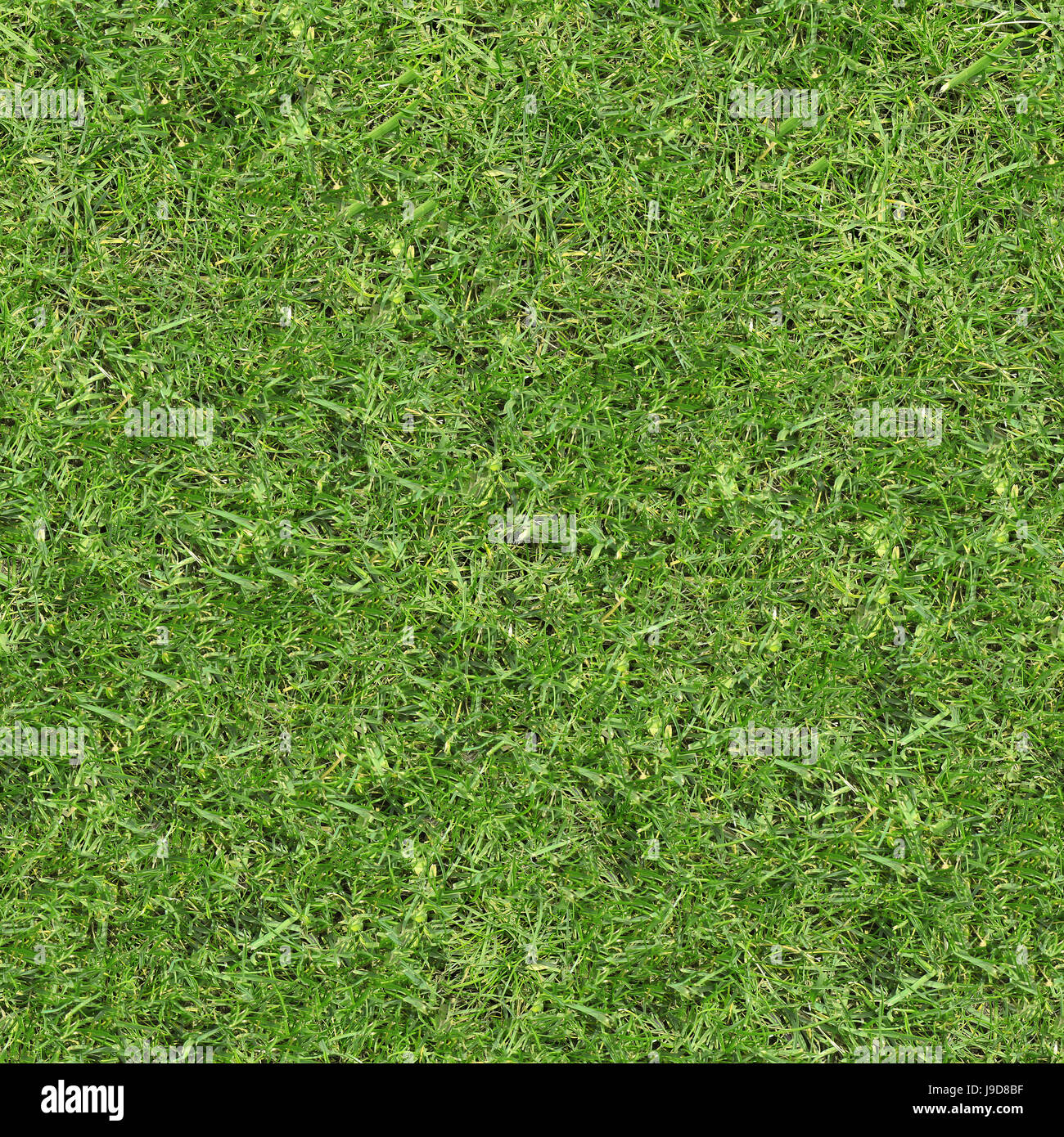 Green grass seamless texture. Seamless in horizontal and vertical dimensions. Stock Photo