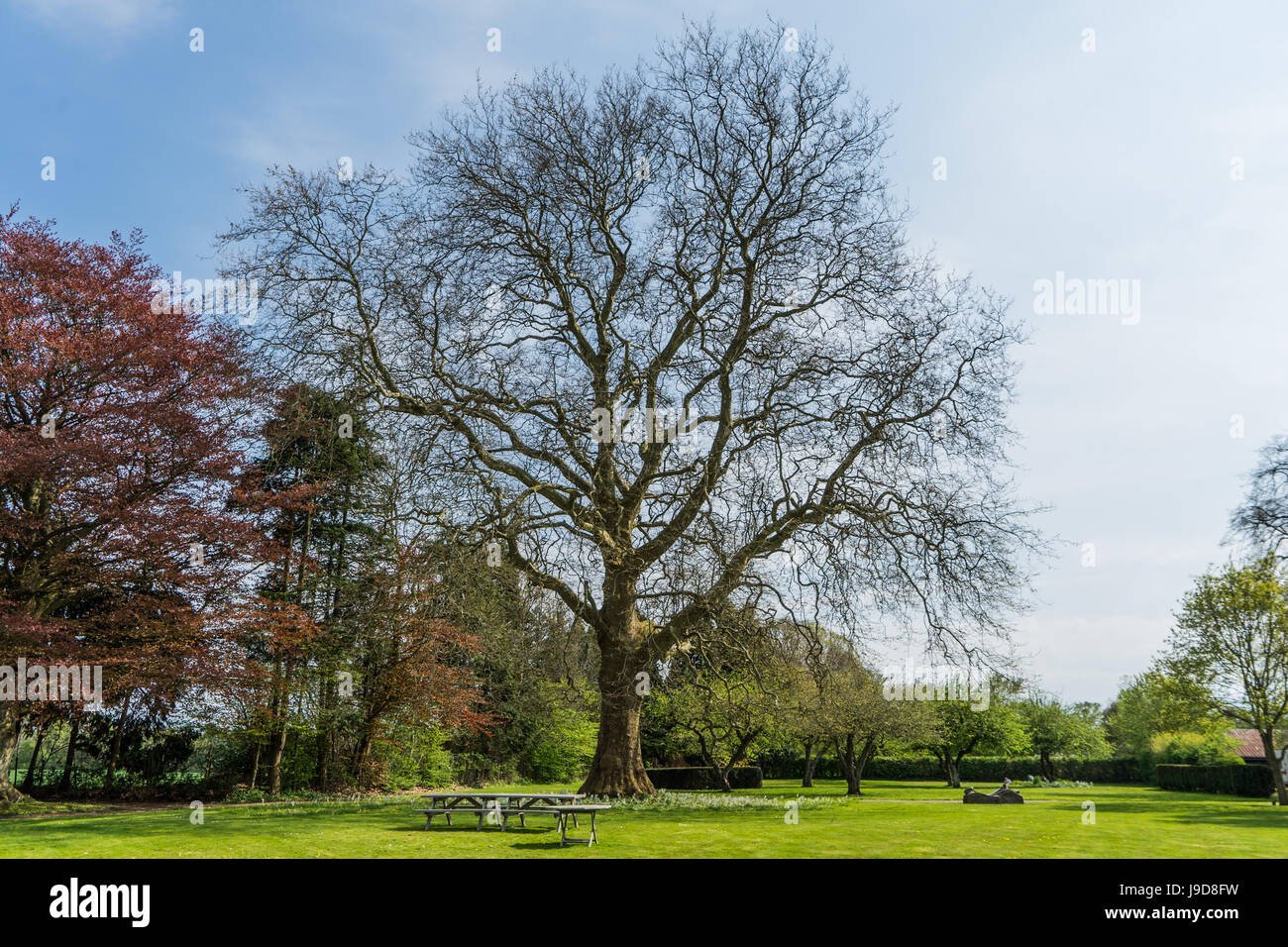 A spring view from a park near Horsens City in Denmark Stock Photo - Alamy