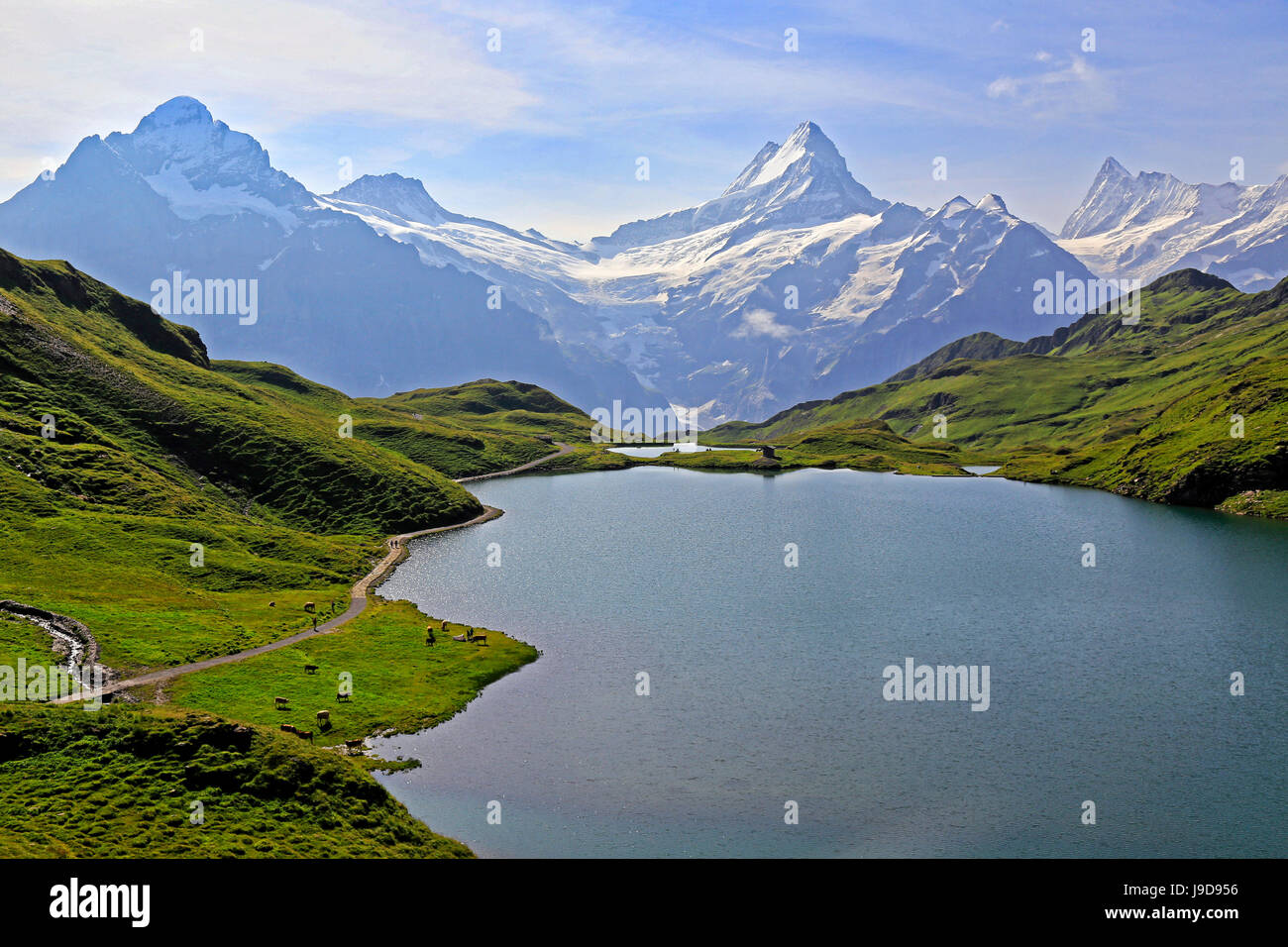 Lake Bachalpsee at First and Bernese Alps, Grindelwald, Bernese Oberland, Switzerland, Europe Stock Photo