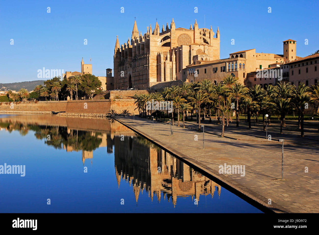 Parc de la Mar, Cathedral La Seu, Palma de Mallorca, Majorca, Balearic Islands, Spain, Mediterranean, Europe Stock Photo