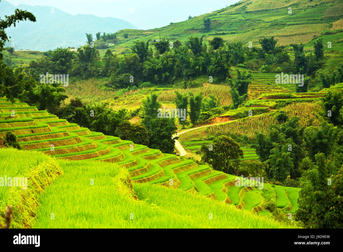asia, highland, terraces, landscape, scenery, countryside, nature ...