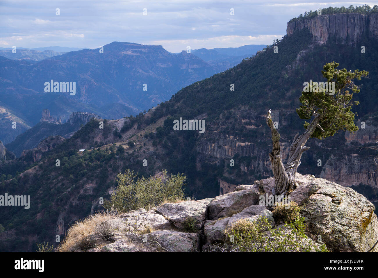 Divisadero, Copper Canyon, larger and deeper than the Grand Canyon