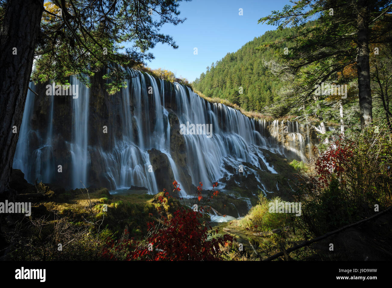 Pearl Shoal Waterfall, Jiuzhaigou (Nine Village Valley), UNESCO World Heritage Site, Sichuan province, China, Asia Stock Photo