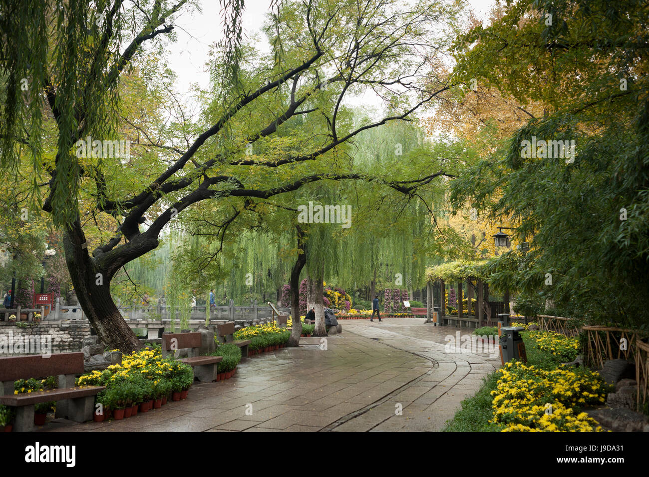 Baotu Spring Park, Jinan, Shandong province, China, Asia Stock Photo