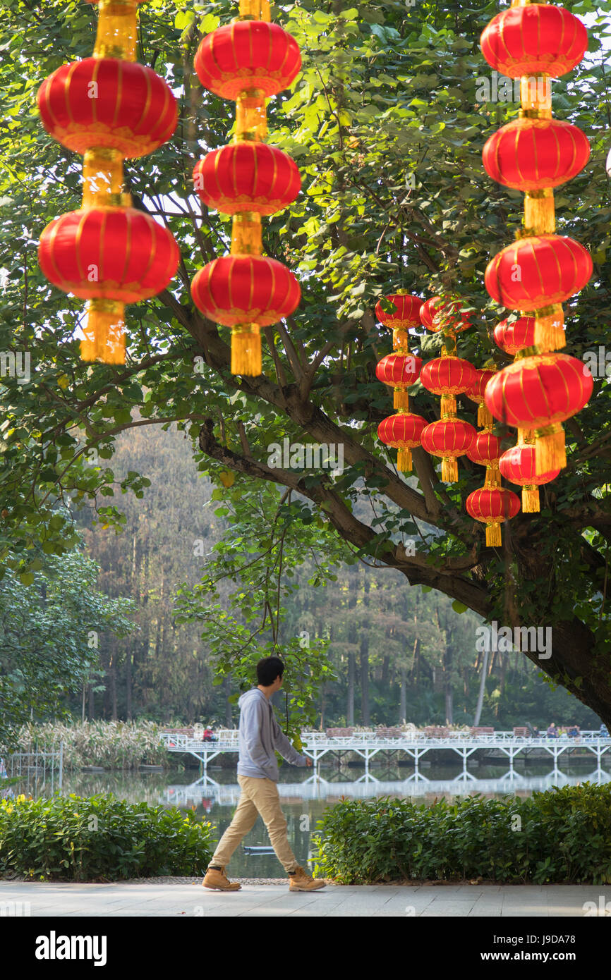 Lanterns in Lizhi Park, Shenzhen, Guangdong, China, Asia Stock Photo
