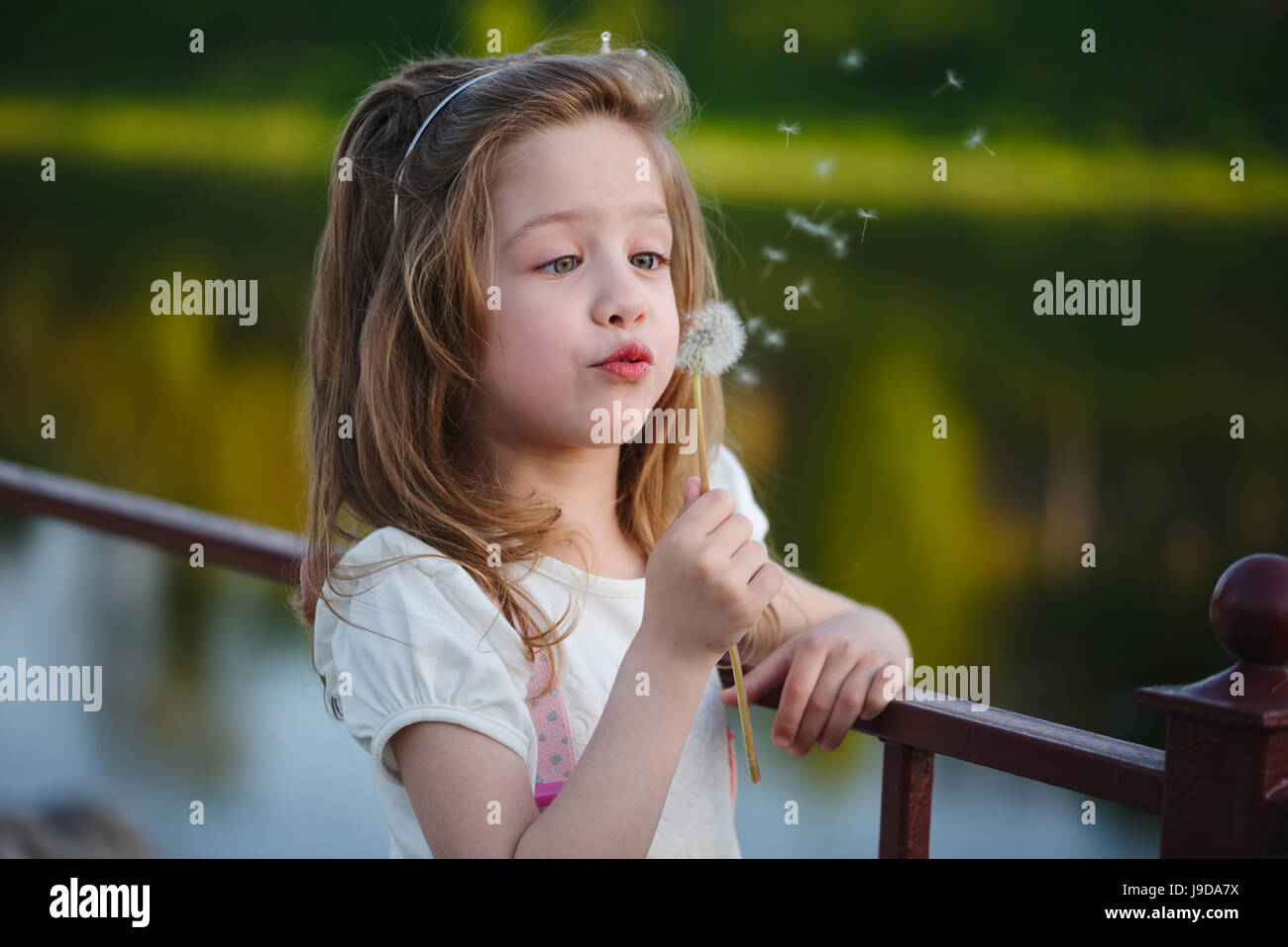 little girl with dandelion in park Stock Photo - Alamy