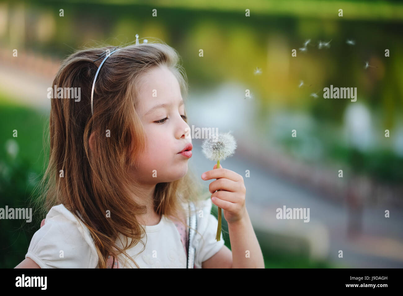 little girl with dandelion in park Stock Photo - Alamy