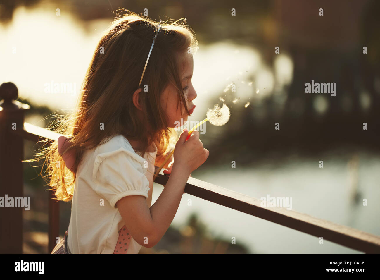 little girl with dandelion in park Stock Photo - Alamy