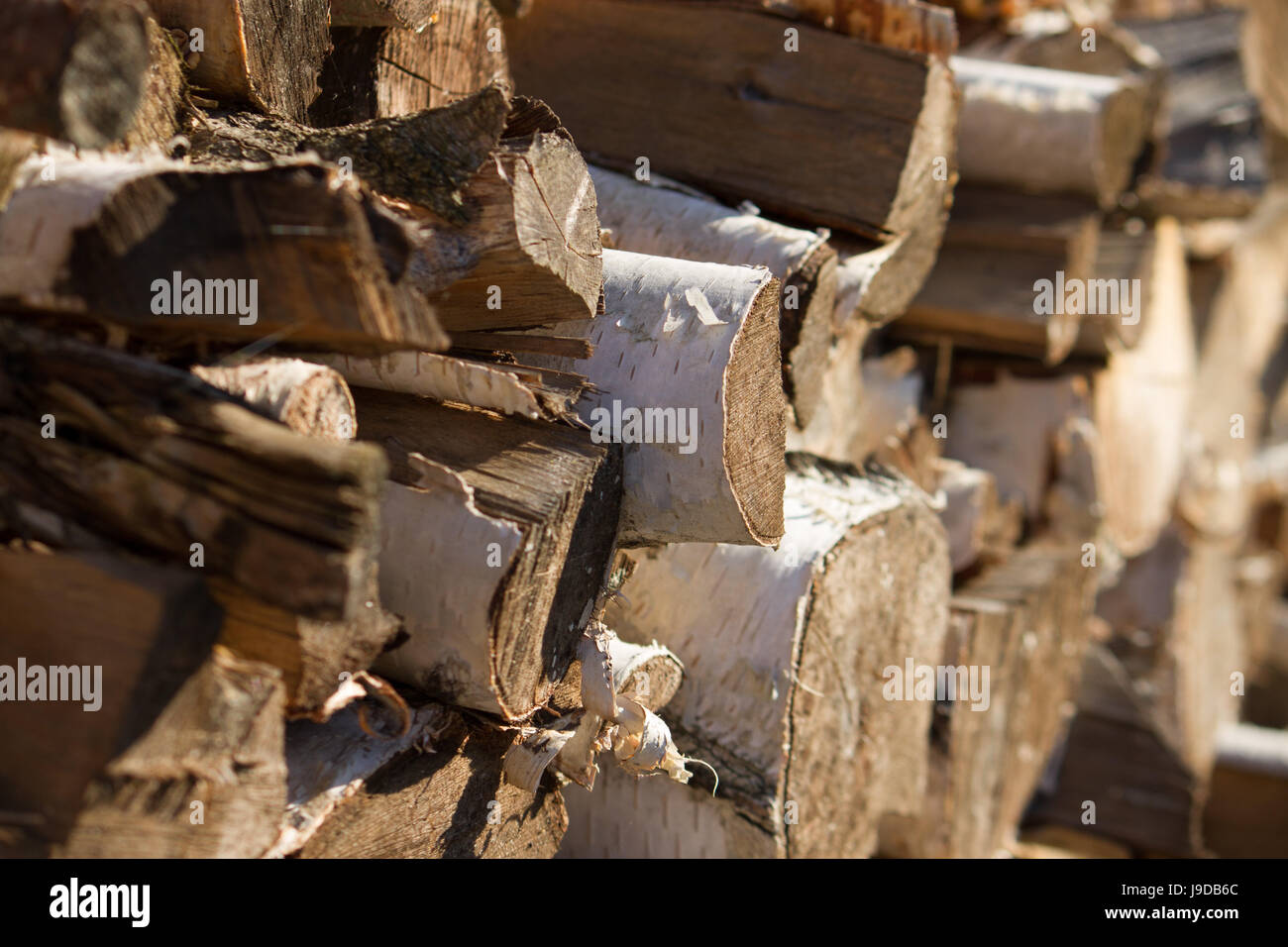 stack, birch, firewood, strength, force, heap, pile, environment, enviroment, Stock Photo
