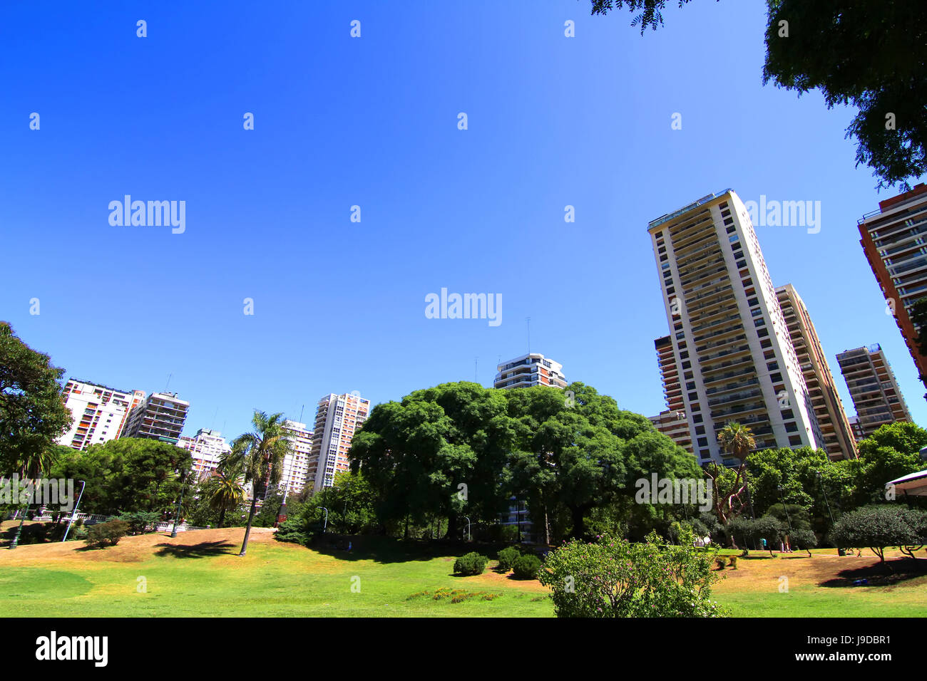 blue, city, town, tree, park, argentina, style of construction, architecture, Stock Photo