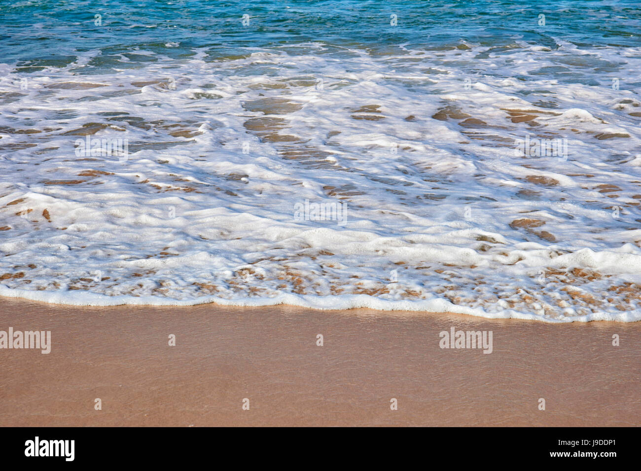 beach, seaside, the beach, seashore, waves, wave, wet, coast, salt water, sea, Stock Photo