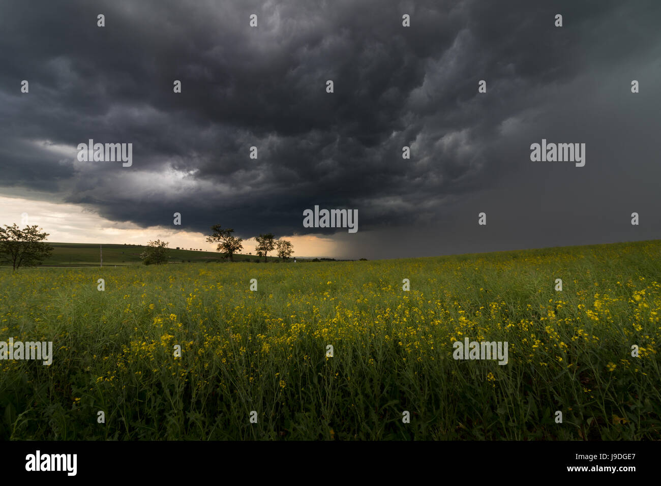 Dark stormy clouds over the fields in summer Stock Photo - Alamy