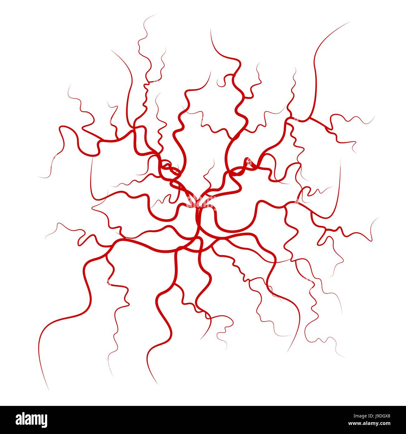 Human Blood Veins Vector. Red Blood Vessels Design. Illustration Isolated  On White Background Stock Vector Image & Art - Alamy