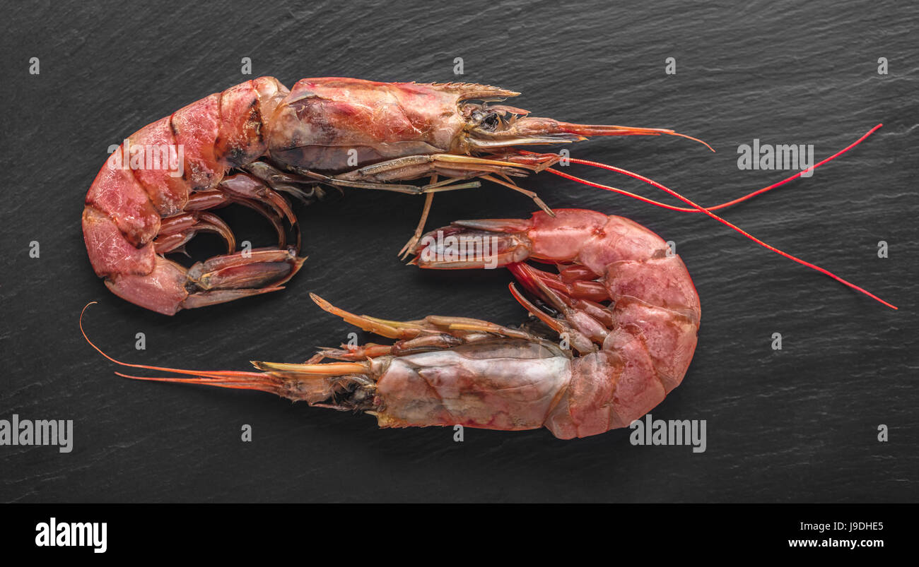 langoustines fresh seafood close-up on a black background Stock Photo