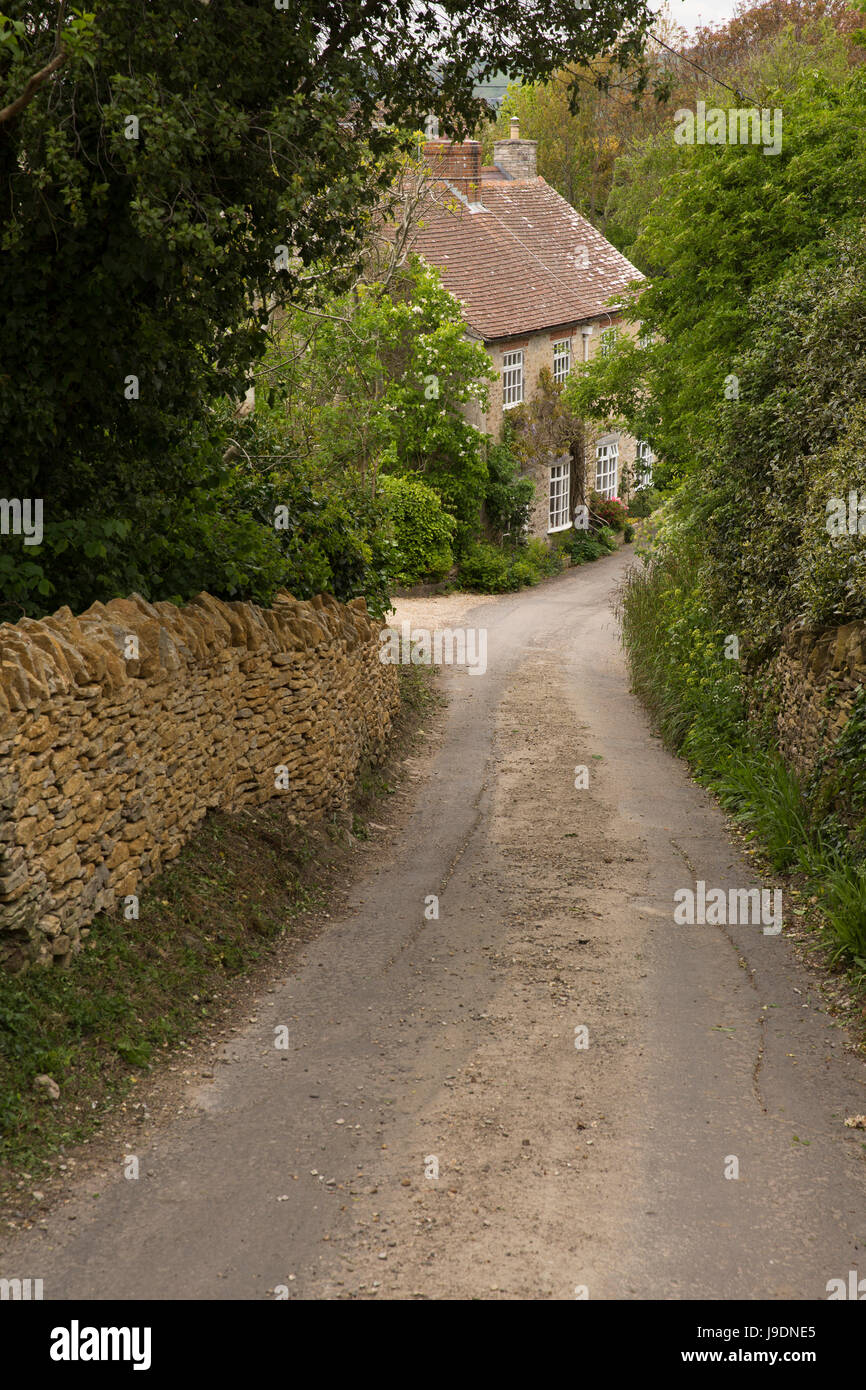 Langton herring hires stock photography and images Alamy