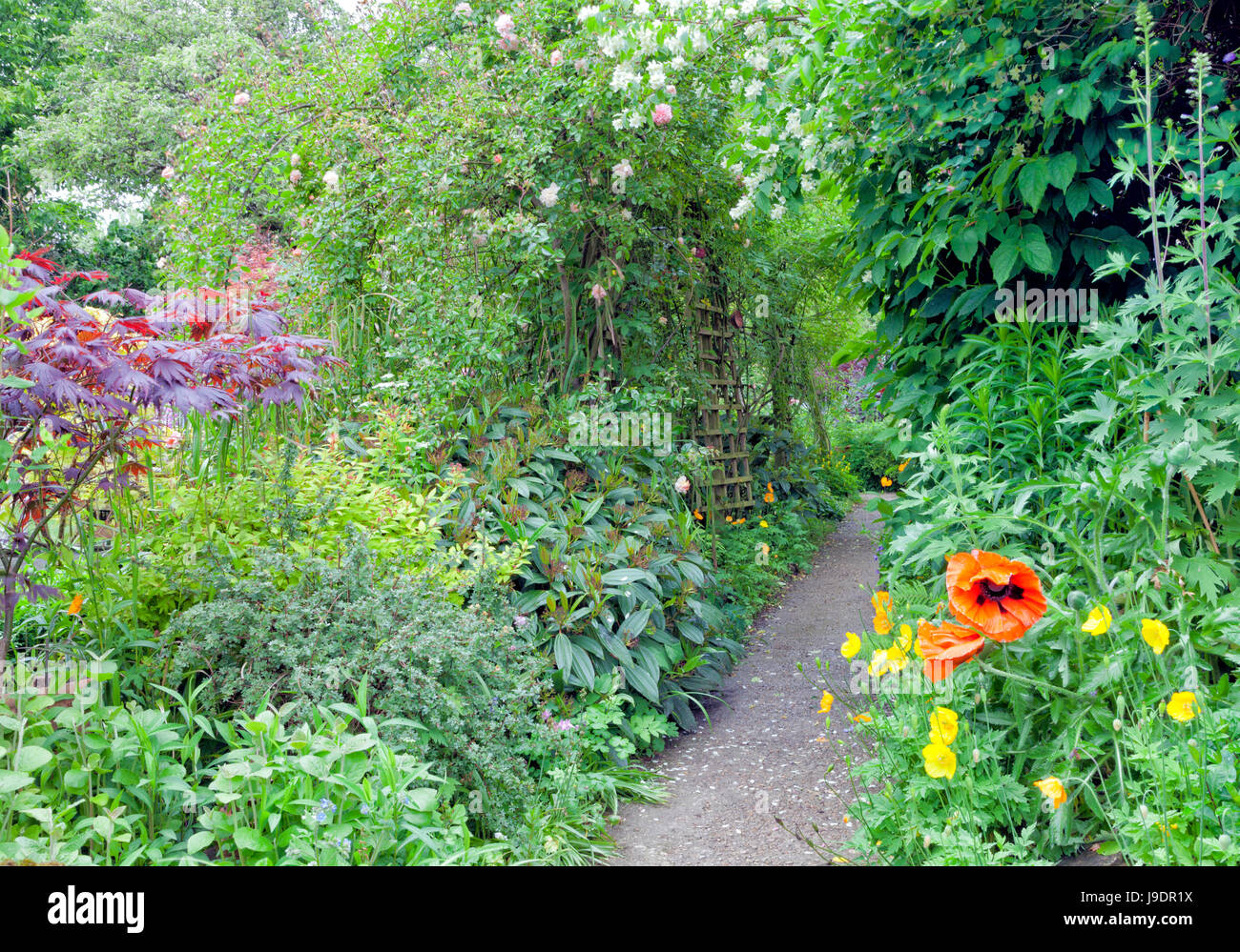 Colorful summer cottage garden with a stone path through roses, flowers, shrubs and trees . Stock Photo