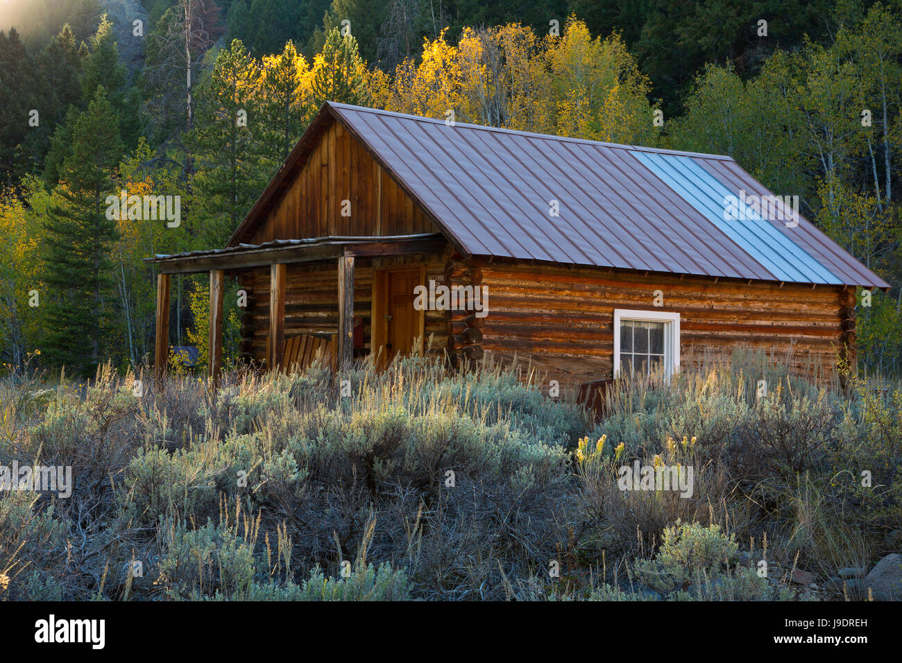 Brookman cabin in the mining ghost town of Custer, Idaho in fall. USA Stock Photo