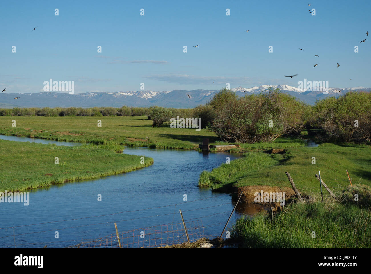 blue water,ranch land,birds and high rockies,colorado Stock Photo - Alamy