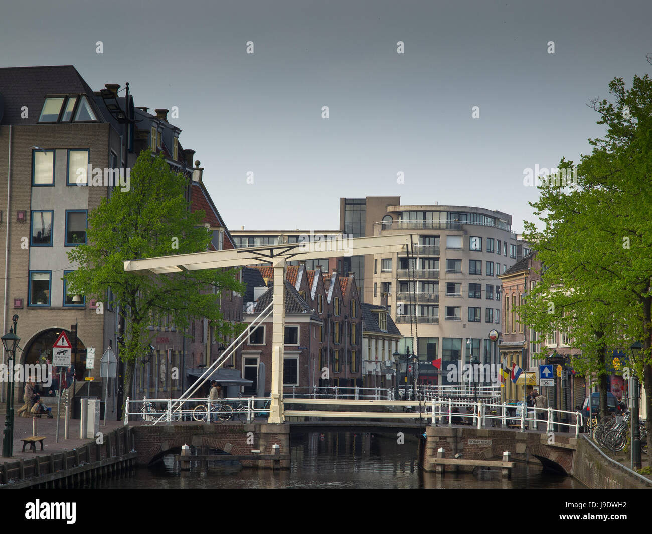 holland, town hall, netherlands, house, building, houses, city, town