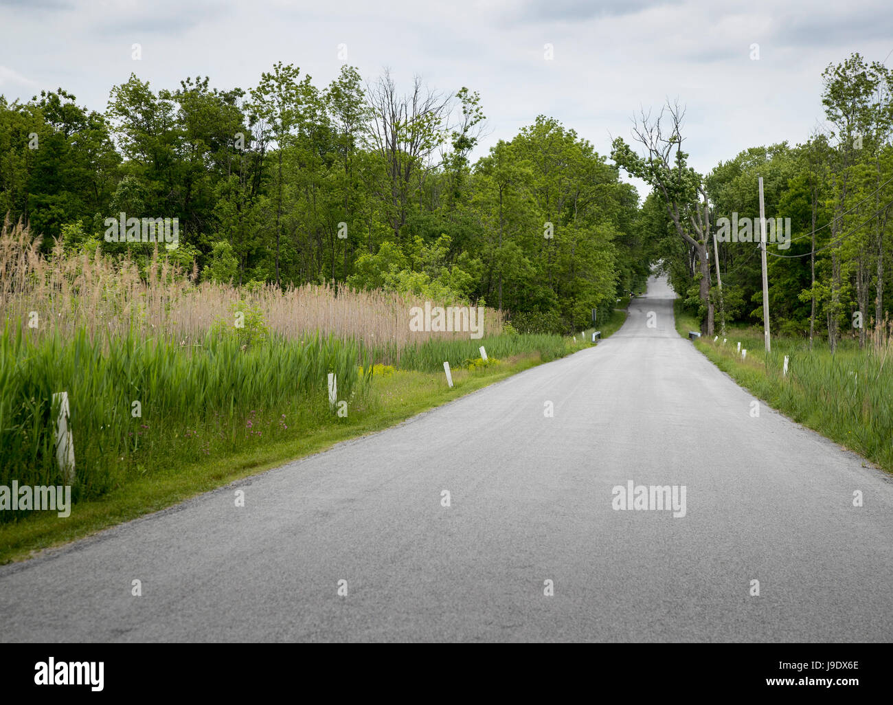 Empty new york road hi-res stock photography and images - Alamy