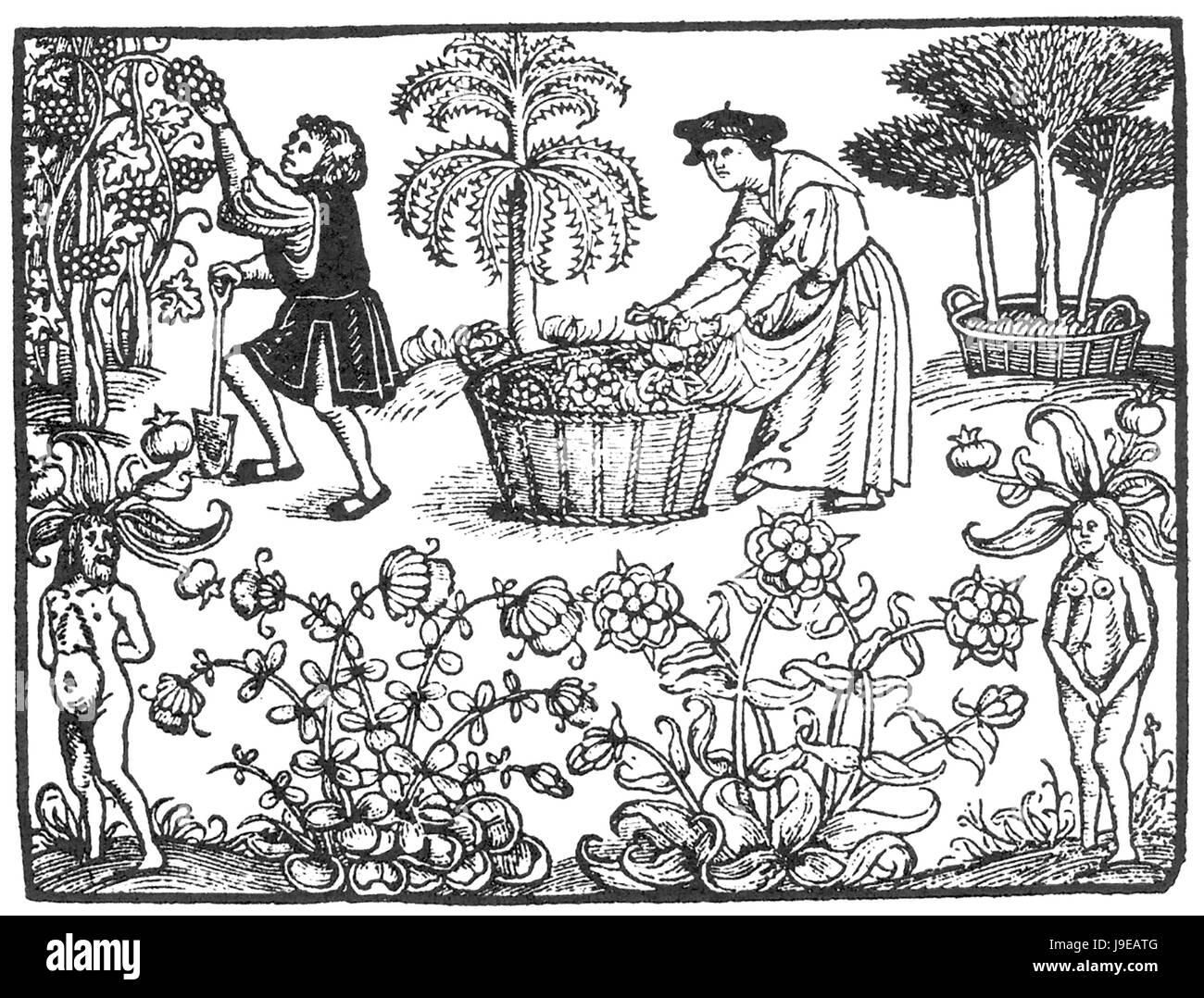 THE GREAT HERBAL (The Grete Herball) Garden scene from the cover of the 1526 edition Stock Photo