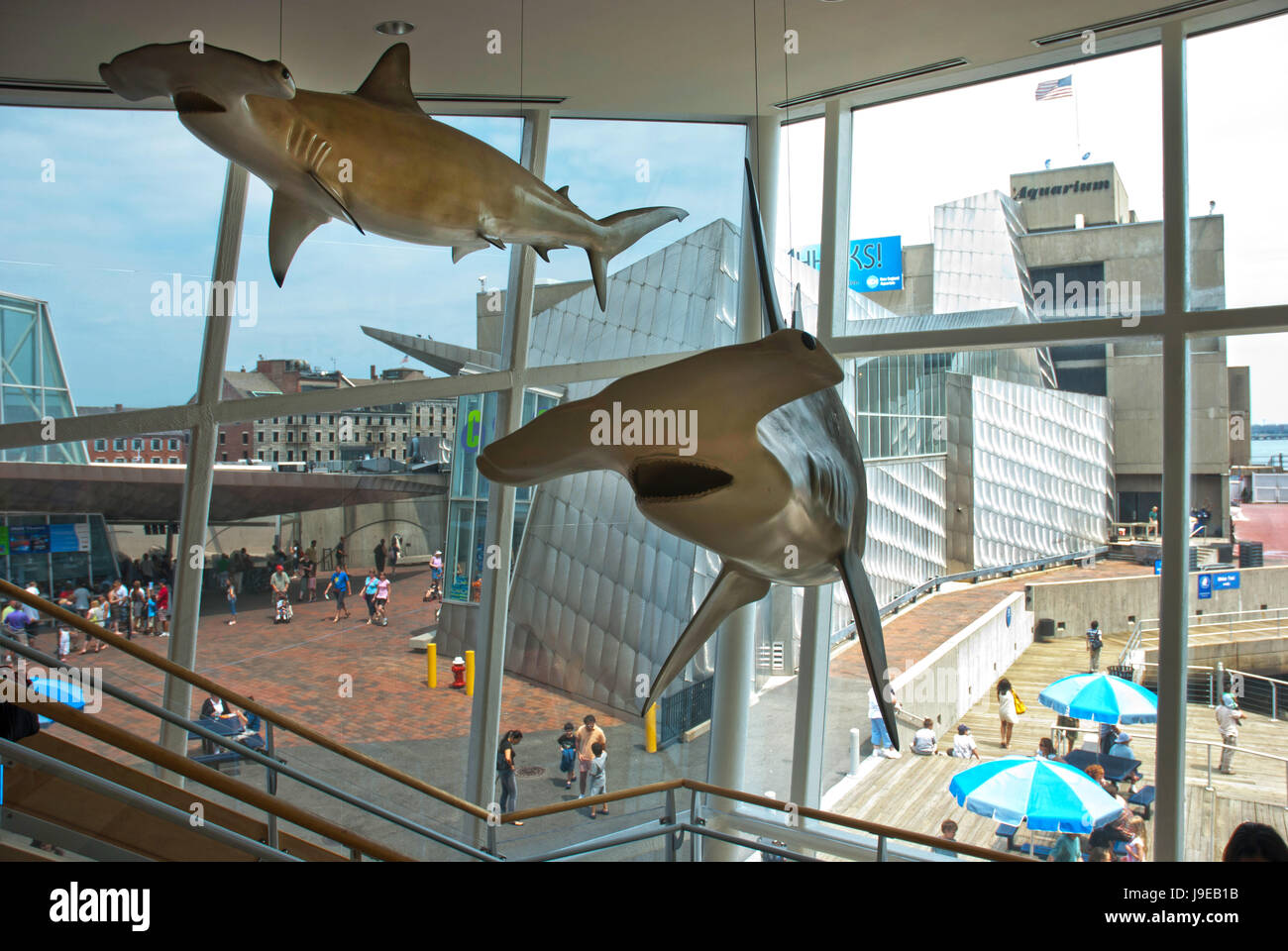 Shark models suspended from the ceiling of Boston Aquarium Stock Photo