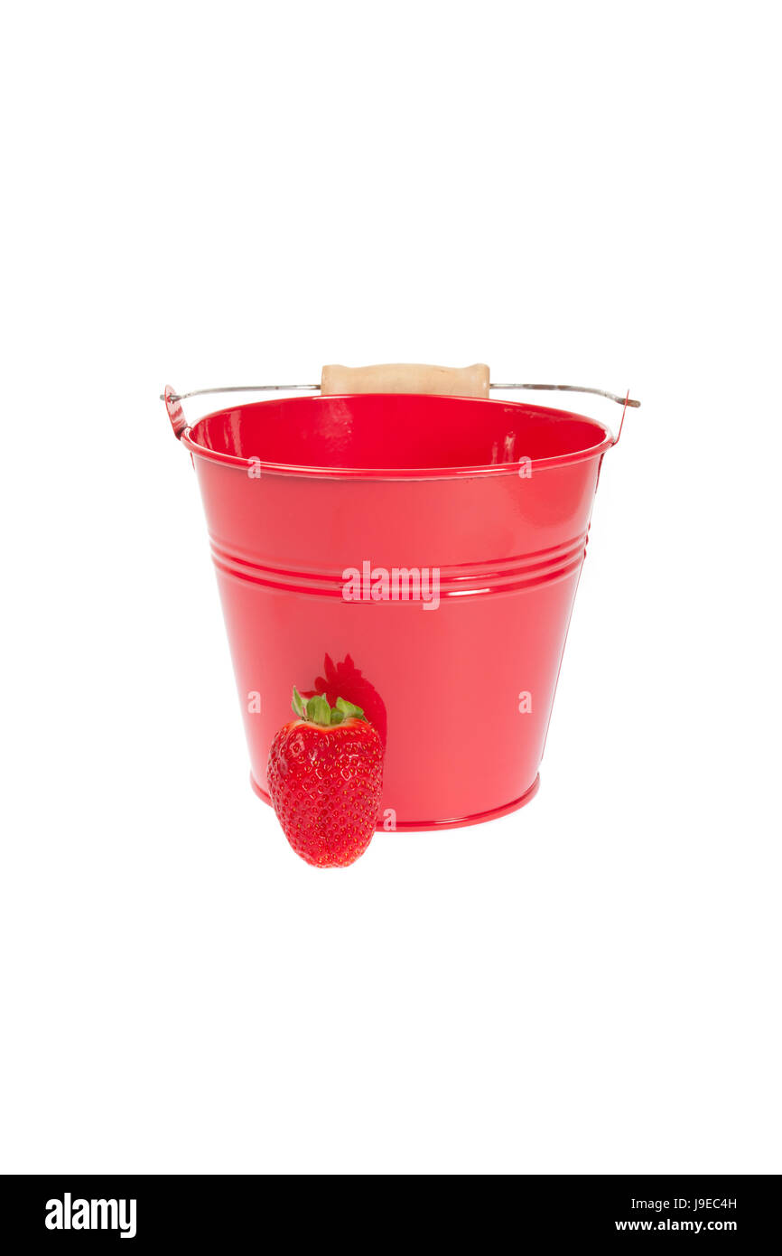 red tin bucket with a strawberry Stock Photo Alamy