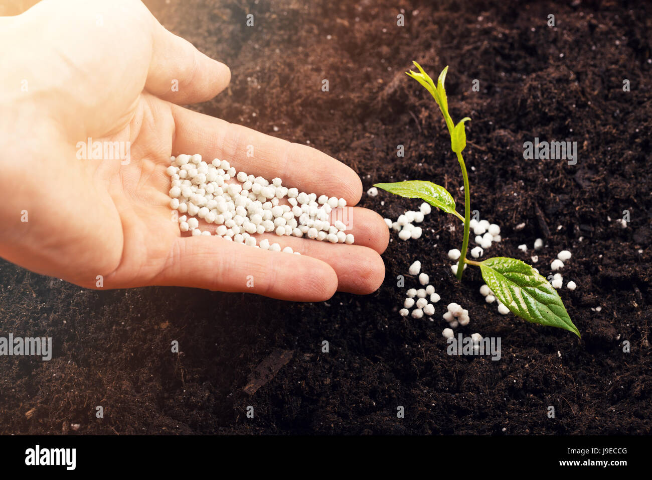 Fertilizer plant hires stock photography and images Alamy
