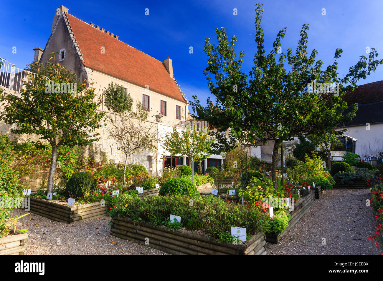 France, Cher, Sancerre, Maison des Sancerre, the garden Stock Photo