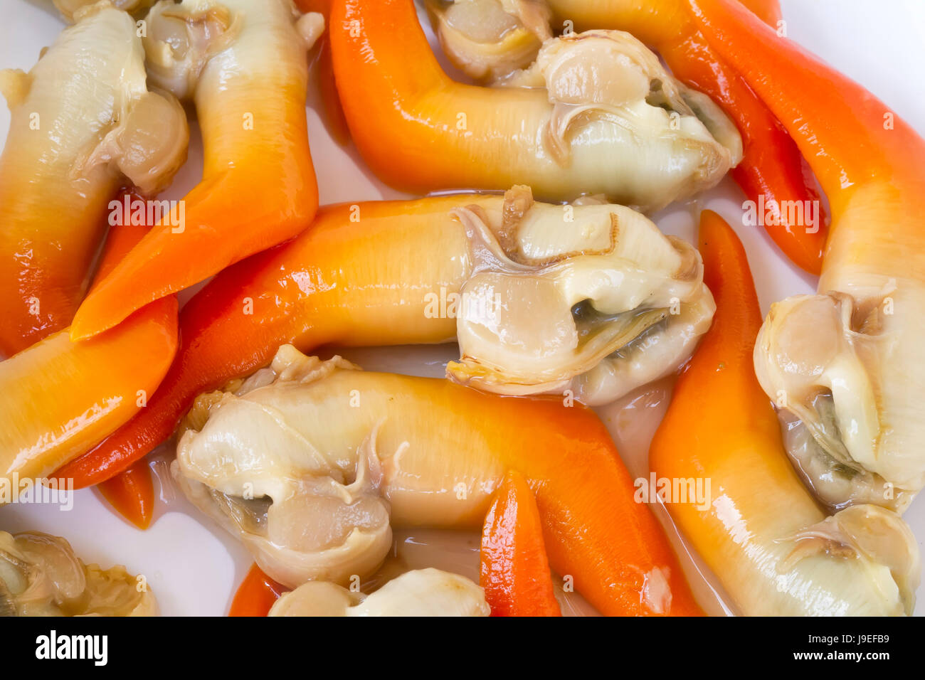 food, aliment, isolated, mollusc, shell, kitchen, cuisine, boil, cooks, Stock Photo