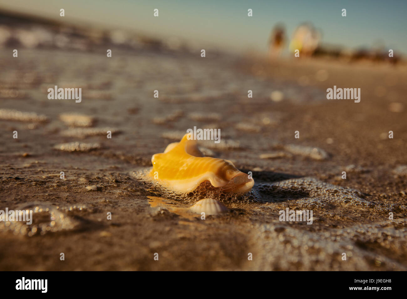 Indian Rocks Ocean Indian rocks beach hi-res stock photography and images - Alamy