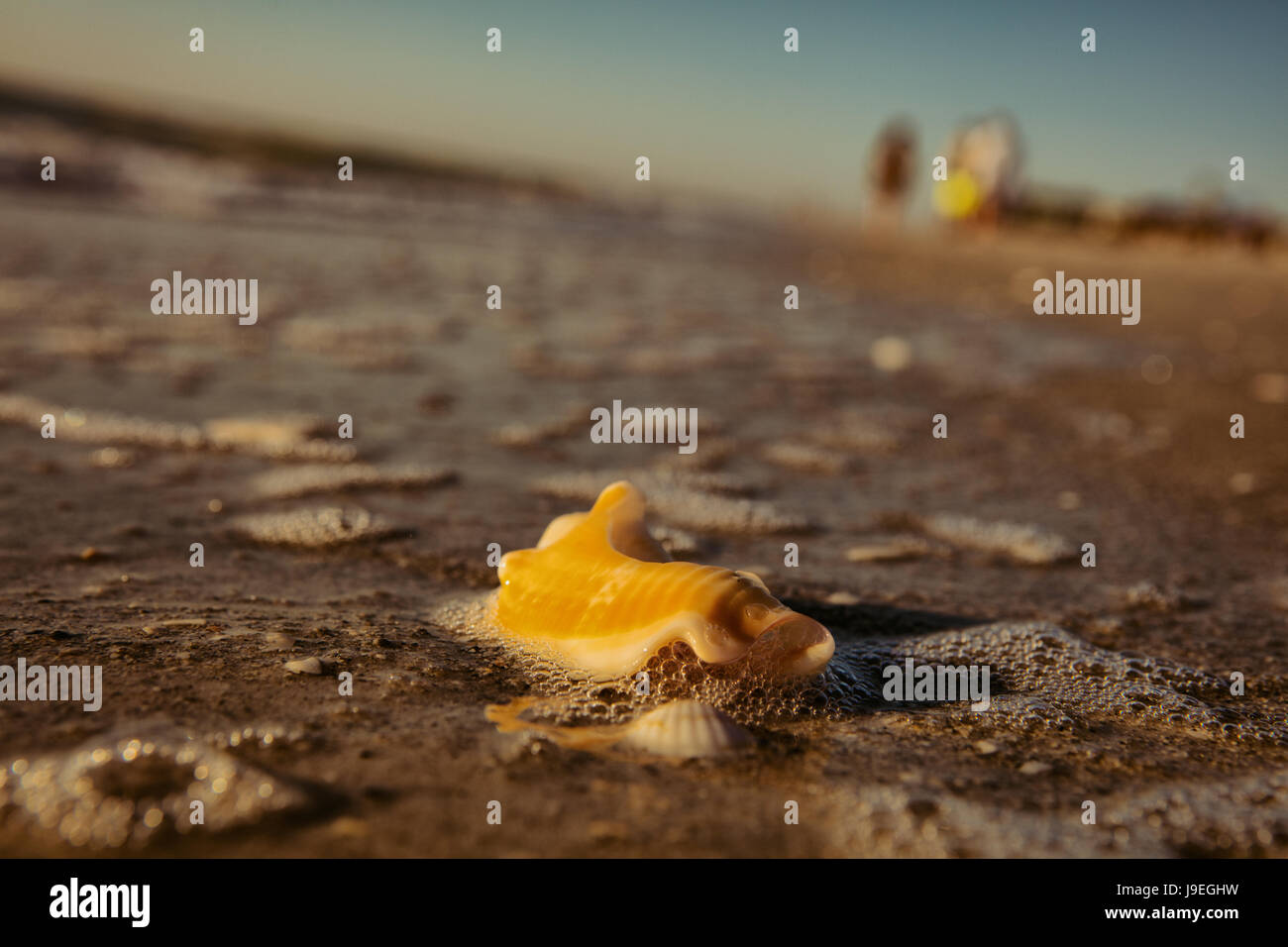 Late afternoon stroll on Indian Rocks Beach on Florida's Gulf Coast Stock Photo