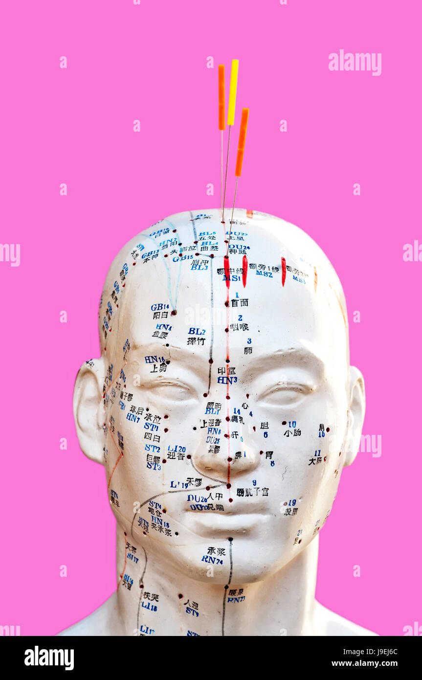 acupuncture head model Stock Photo Alamy