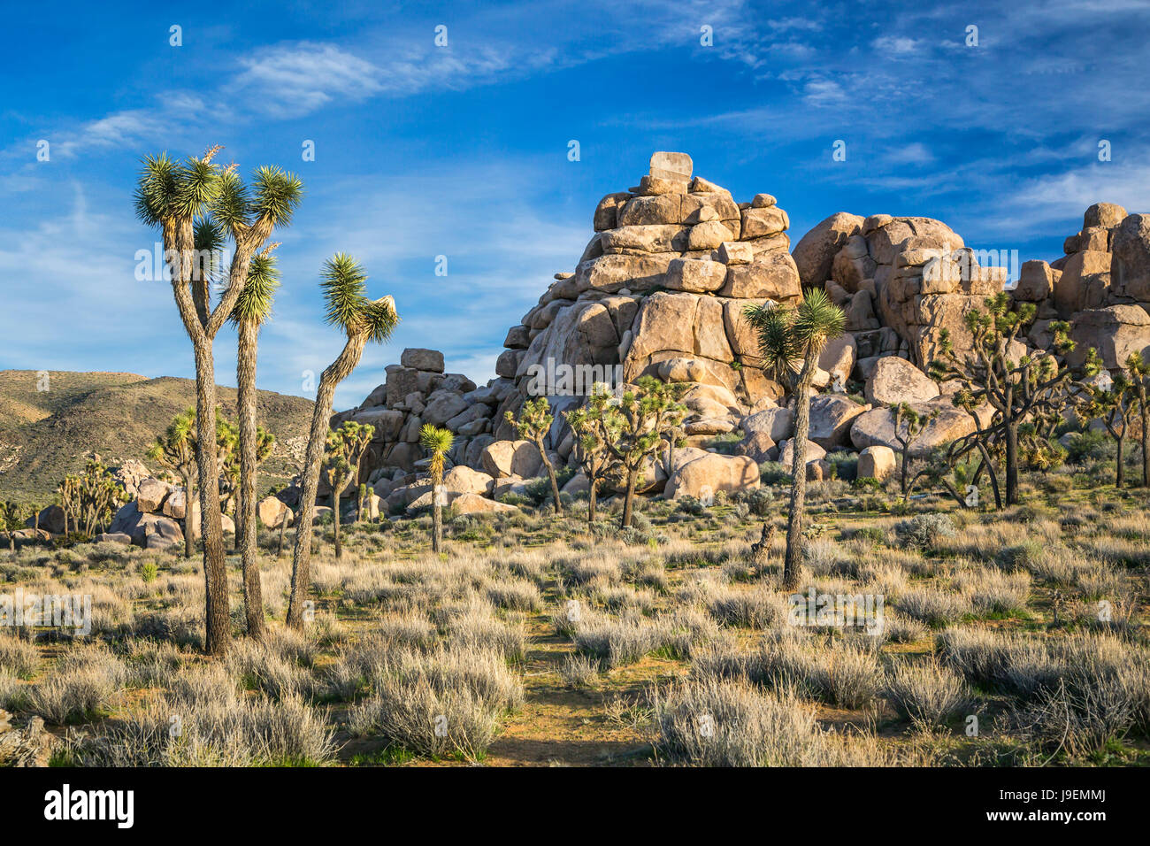 Jumbo rocks in Joshua Tree National Park, California, USA Stock Photo ...
