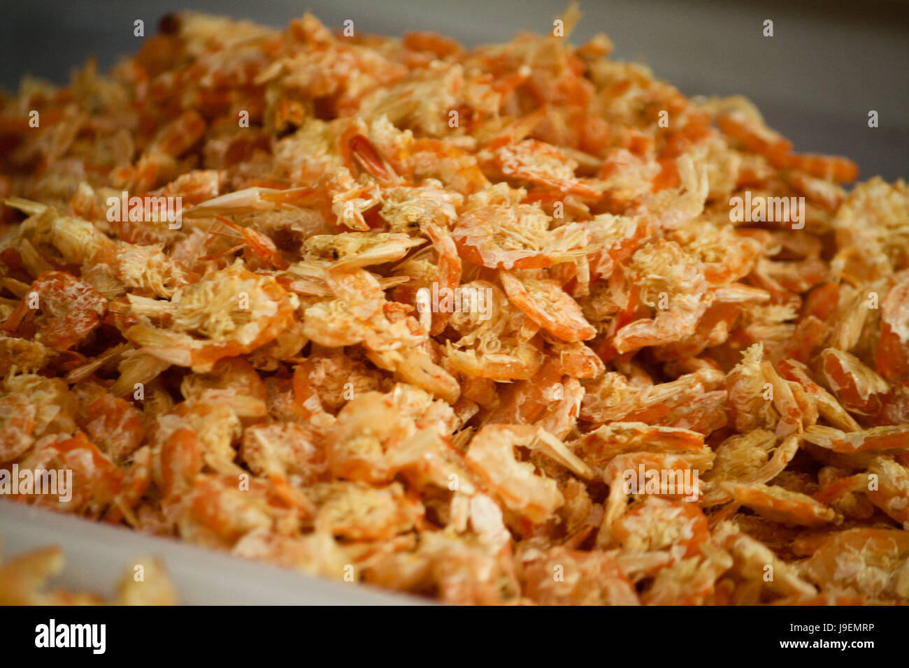 dried shrimp product of Thailand Stock Photo Alamy