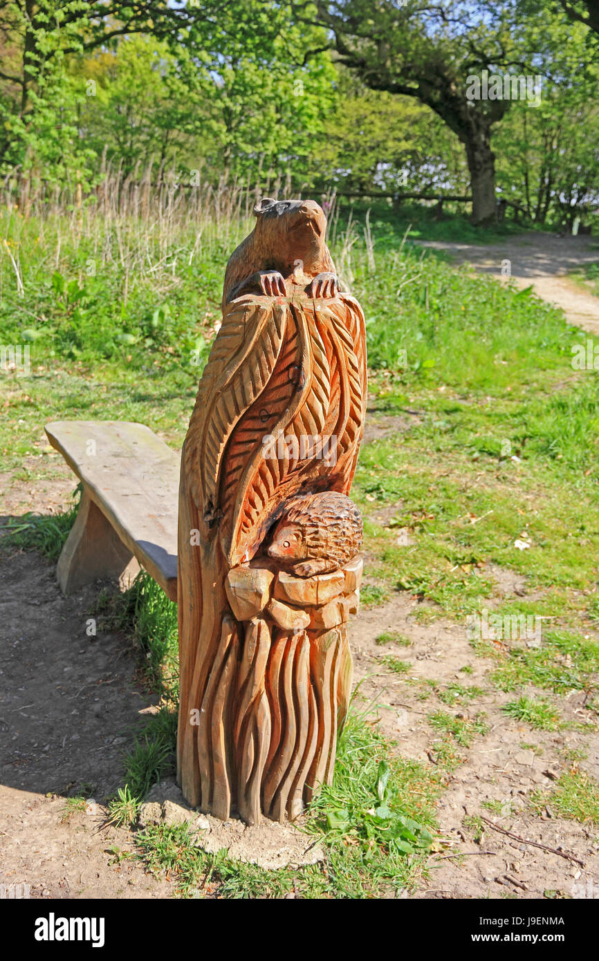 Beaver and Hedgehog wooden sculpture forming bench end, Hollingworth Lake, Littleborough Stock Photo