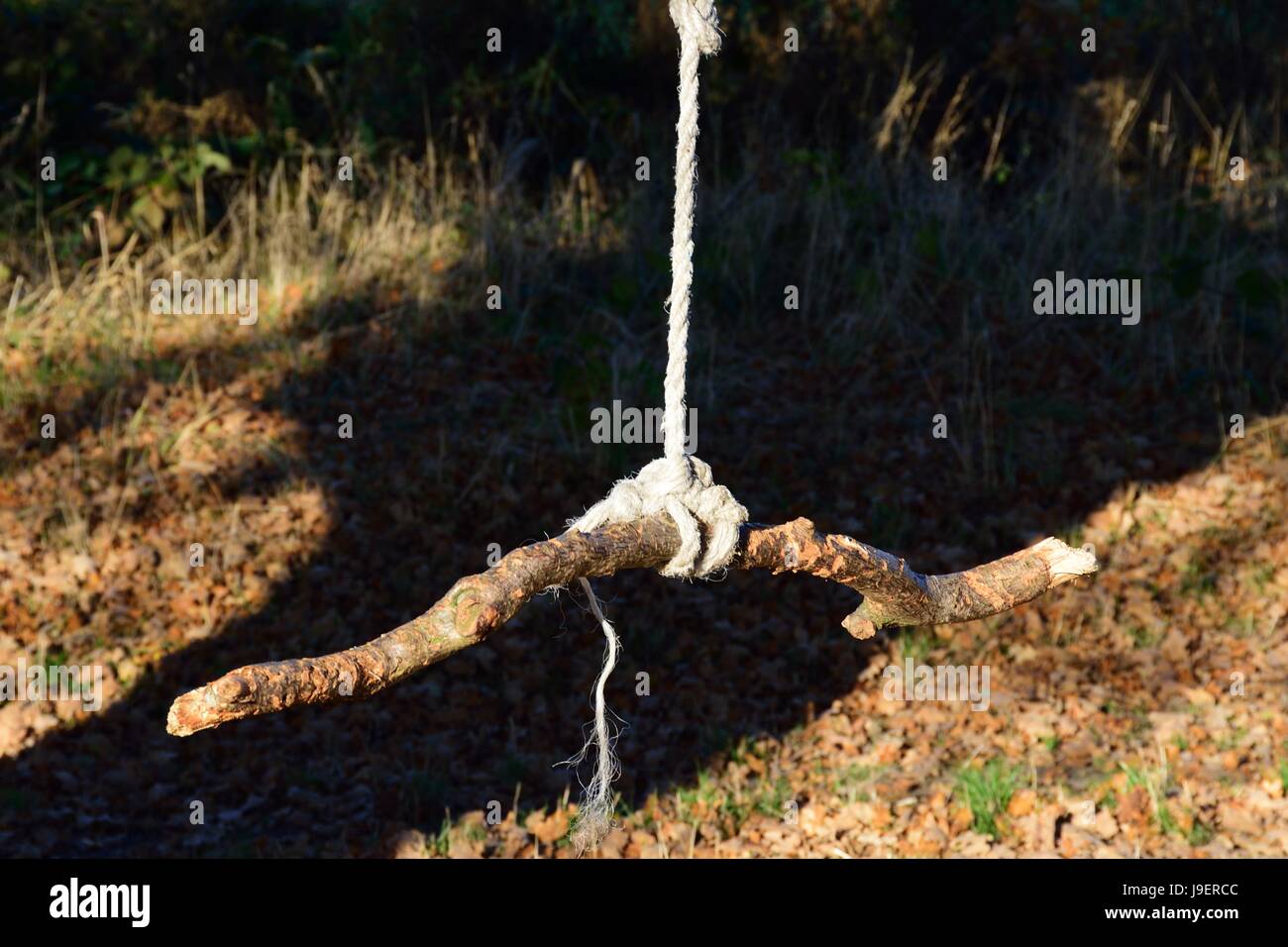 Simple swing constructed from rope and branch Stock Photo